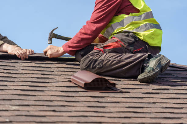 Best Roof Maintenance Services  in Leadville, CO
