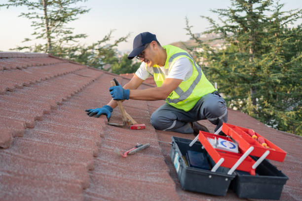 Roof Waterproofing Services in Leadville, CO